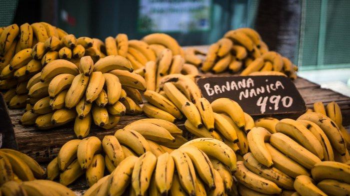 Ilustrasi buah pisang.