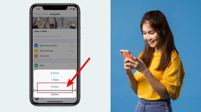 Fitur mute selamanya WhatsApp resmi dirilis