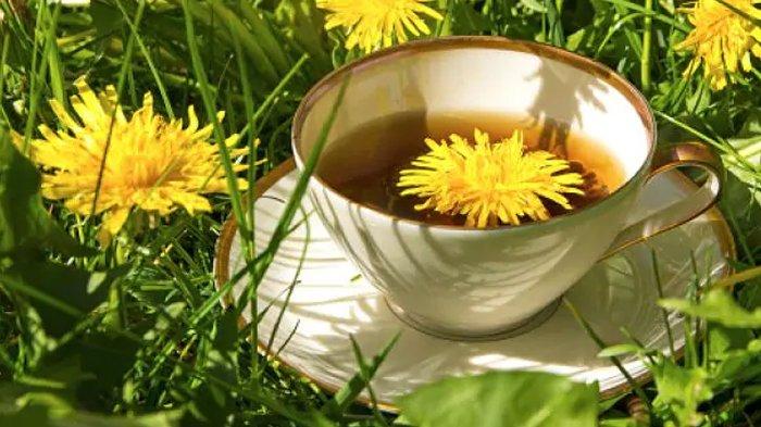 Teh herbal bantu atasi asam lambung.