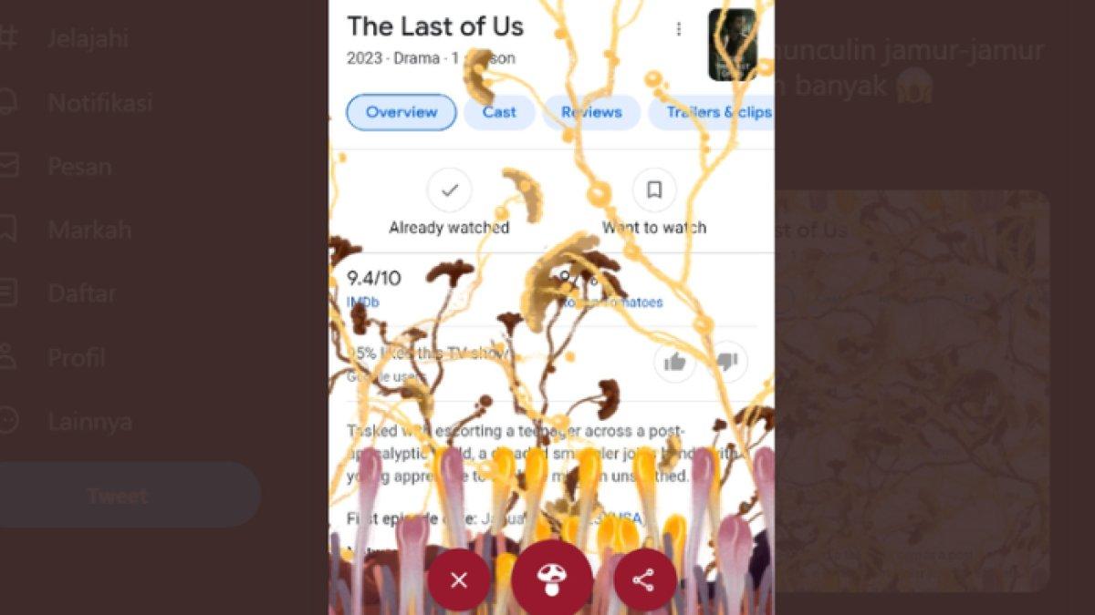 Jamur Cordyceps yang muncul di serial The Last of Us dan fitur google.