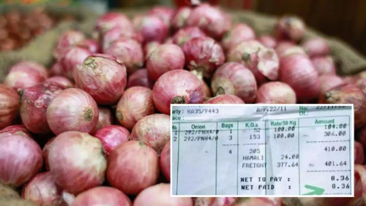 Petani cuma dibayar Rp1.500 untuk 205 Kg bawang merah
