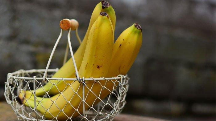 Cara menyompan pisang agar tidak cepat busuk.