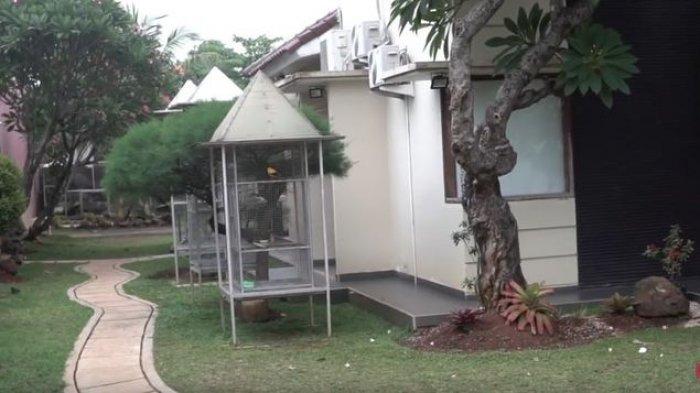 Taman belakang rumah Narji yang asri
