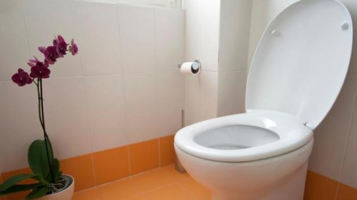(Ilustrasi) Pria di Inggris mencari toilet paling buruk di dunia