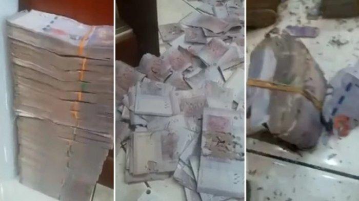 Uang Rp 1 miliar rusak dimakan serangga