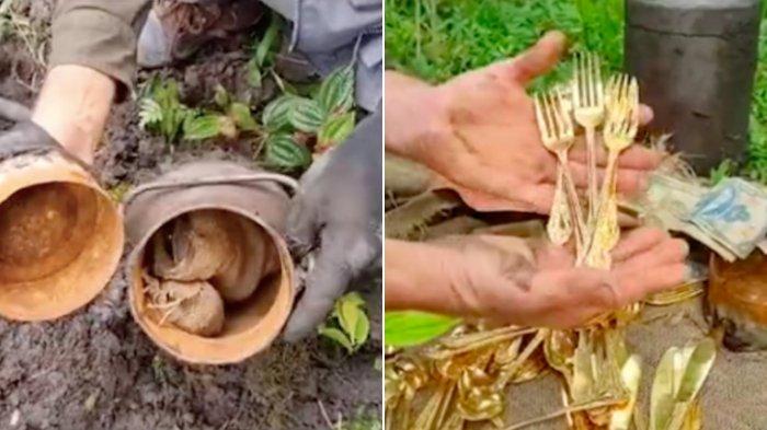 Viral pria mengaku temukan harta karun di hutan.