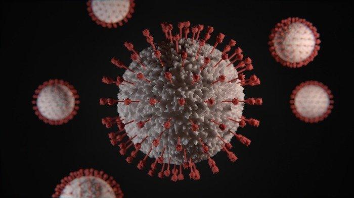 Ilustrasi virus corona