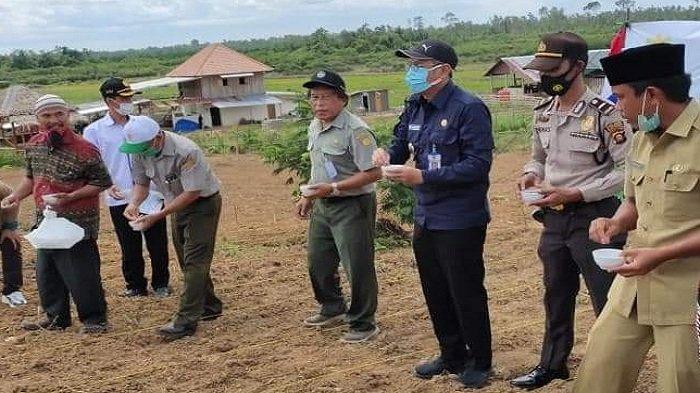 Kegiatan Penanaman perdana benih Varietas Unggul Baru (VUB) Sorgum Baristan yang dilaksanakan di Desa Gelebak Dalam Kecamatan Rambutan Kabupaten Banyuasin, Sumatera Selatan, Kamis (7/1/2021
