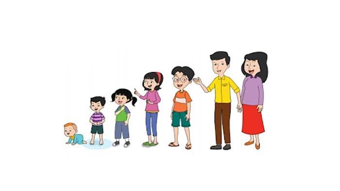 Pertumbuhan manusia tema 6 kelas 6