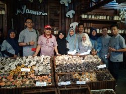 Ini Jamur Manja, Ruang Harus Ber-AC