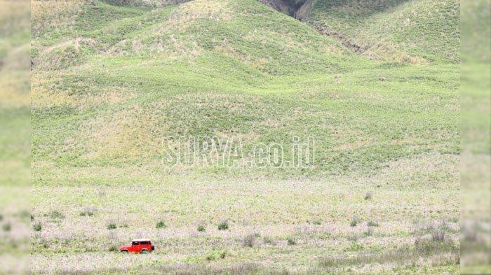 Kendaraan yang membawa wisatawan ke Gunung Bromo sebelum pandemi covid-19, beberapa waktu lalu.