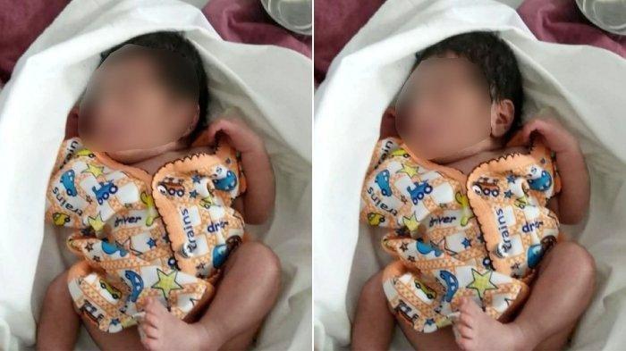 Bayi yang ditemukan di hutan India, selamat karena dijaga induk anjing dan anak-anaknya