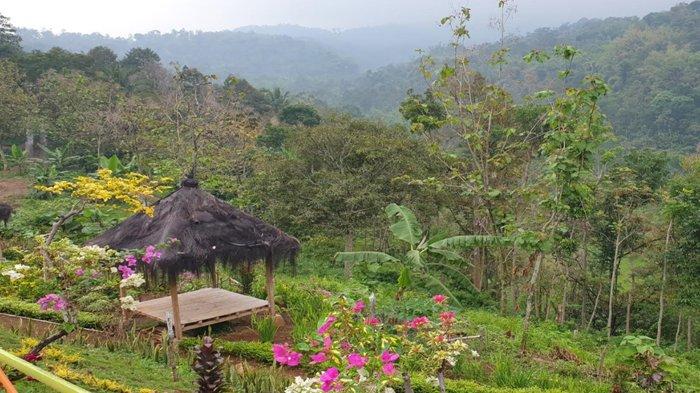 Pemandangan di Sentra wisata Bukit Pecaringan di lereng Gunung Anjasmoro Dusun Jarak Krajan, Desa Jarak, Kecamatan Wonosalam, Kabupaten Jombang.