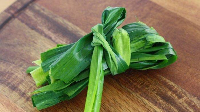 ILUSTRASI Daun Pandan.