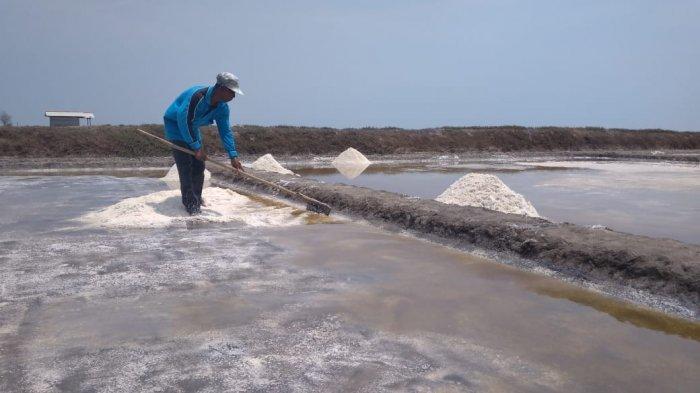 Seorang petani garam, Raji (52), menggunakan teknologi geomembran dalam proses pembuatan garam di Desa Pegagan Lor, Kecamatan Kapetakan, Kabupaten Cirebon, Minggu (21/10/2018).