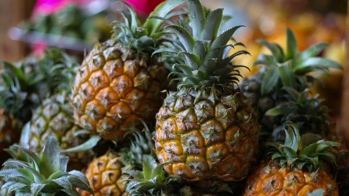 Nanas yang belum dikupas. Buah ini dapat dimanfaatkan untuk mengempukkan daging sapi.