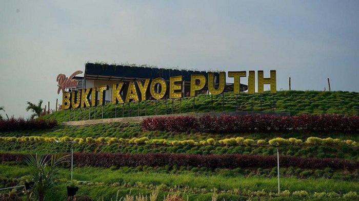 Bukit Kayoe Putih Mojokerto