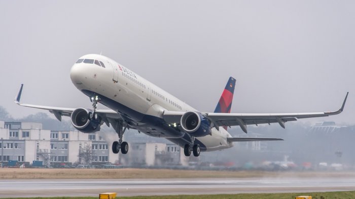 Delta Airlines