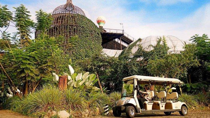 Golfcar di Dusun Semilir untuk keliling area Jalan Kenangan