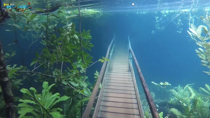 Viral! Hujan Lebat, Hutan di Brazil Terendam, Pengunjung justru Menangkap Momen Langka