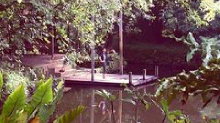 Hutan Kota Tanah Tingal