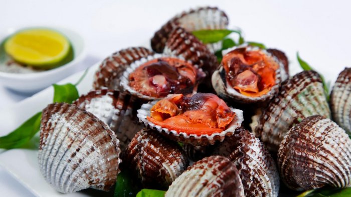 Kerang darah