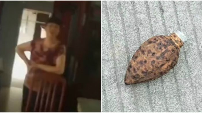 Nenek di China Berikan Granat Hidup pada Cucunya karena Dikira Mainan