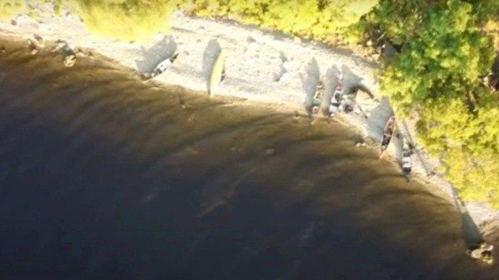 Penampakan diduga Monster Loch Ness di dekat tepi danau