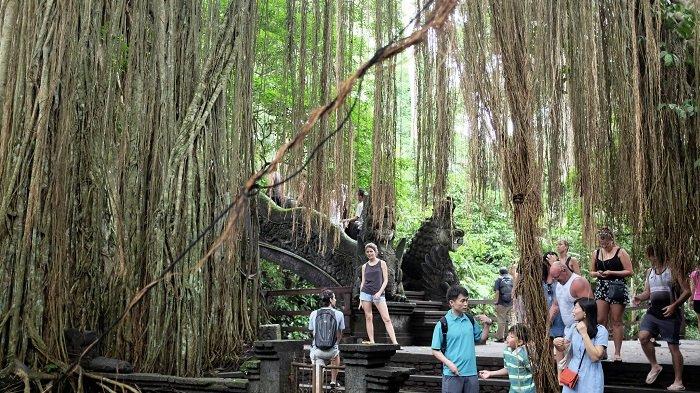 Ilustrasi wisatawan sedang liburan di Monkey Forest Ubud, Bali.