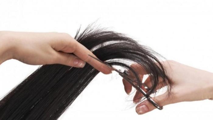 ILUSTRASI potong rambut