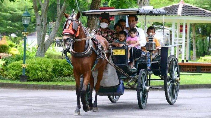Presiden Jokowi liburan akhir pekan naik delman dengan cucu-cucunya