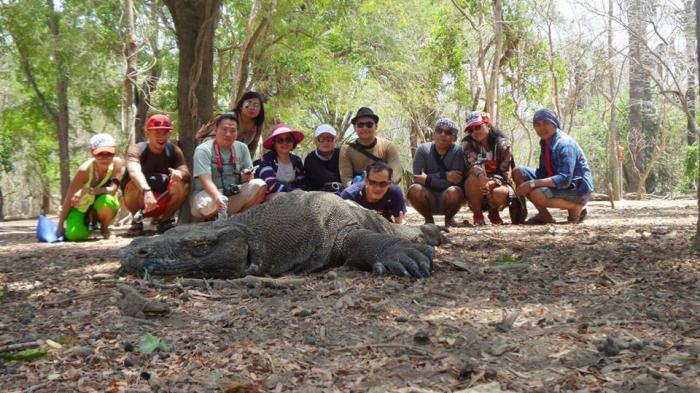 Pulau komodo