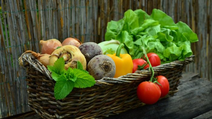 Ilustrasi Sayur