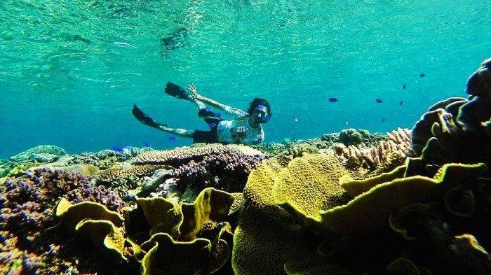 Penyelam di Pantai Sombu, Wangi-Wangi, Wakatobi