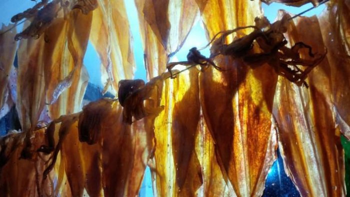 Sotong Pangkong yang ditata sedemikian rupa yang ditawarkan kepada pembeli sesuai dengan harga dan ukuran masing-masing.