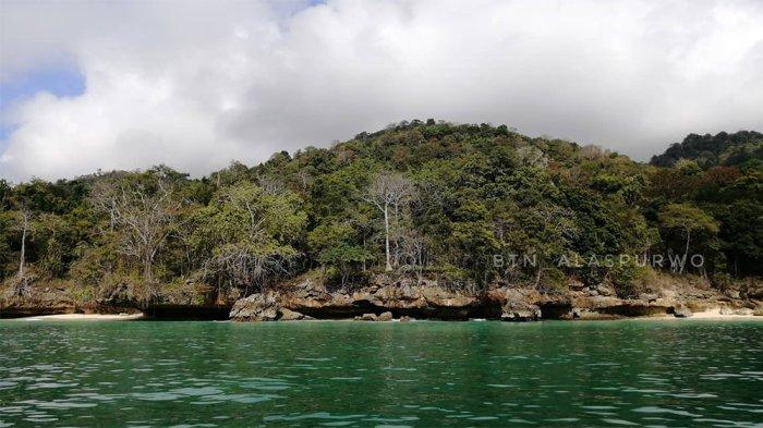 Taman Nasional Alas Purwo, salah satu itinerary untuk liburan 1 hari di Banyuwangi.