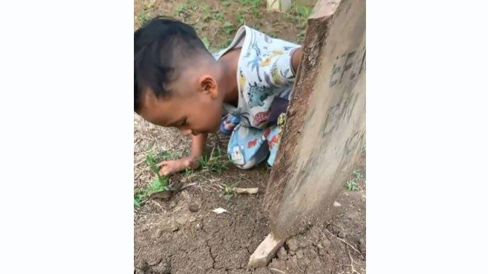 Bocah polos memanggil ayah di makam