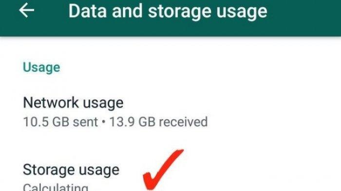 Cara cek kontak WhatsApp yang paling sering dihubungi.