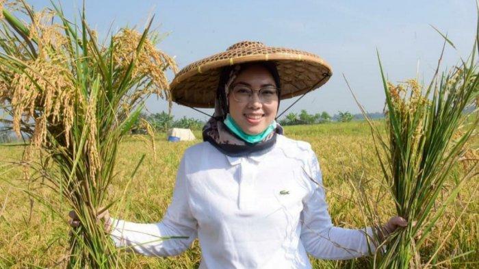 Bupati Purwakarta, Anne Ratna Mustika