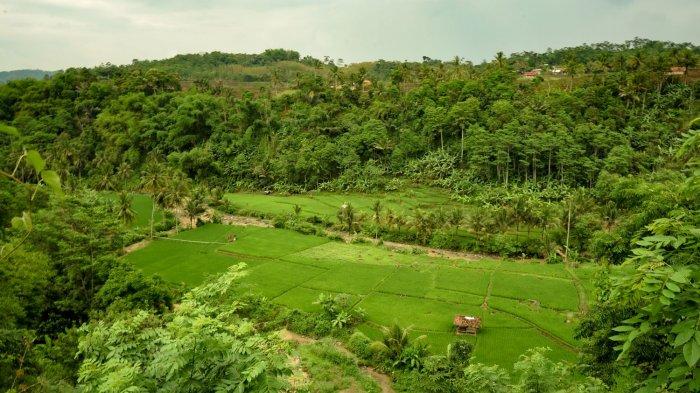 kawasan sekitar Curug Walanda Citatah di Kampung Gugunturan, RT3/12, Desa Citatah Kecamatan Cipatat, Kabupaten Bandung Barat,