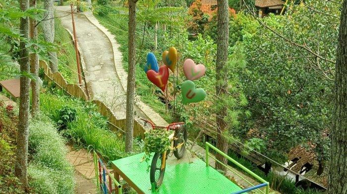 Spot foto di Dao Dreampark