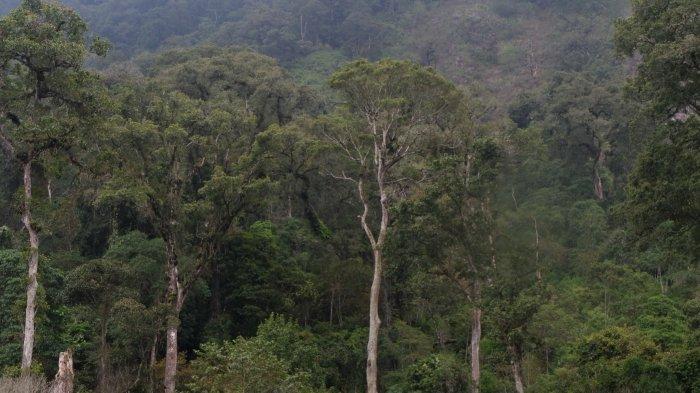 Danau Aul di Kampung Cibitung Desa Margamukti Kecamatan Pangalengan.