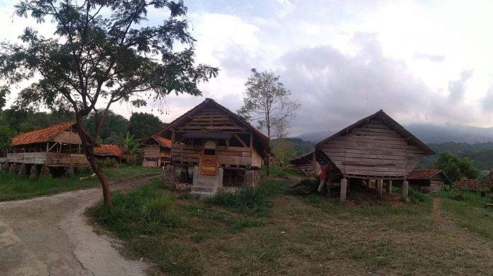 kandang domba di Desa Cibuntu