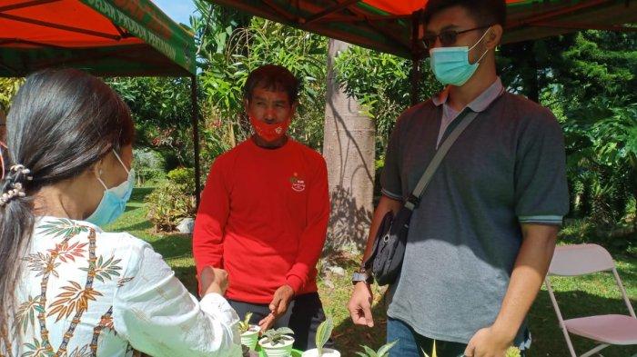 Kaktus Sukulen Lembang