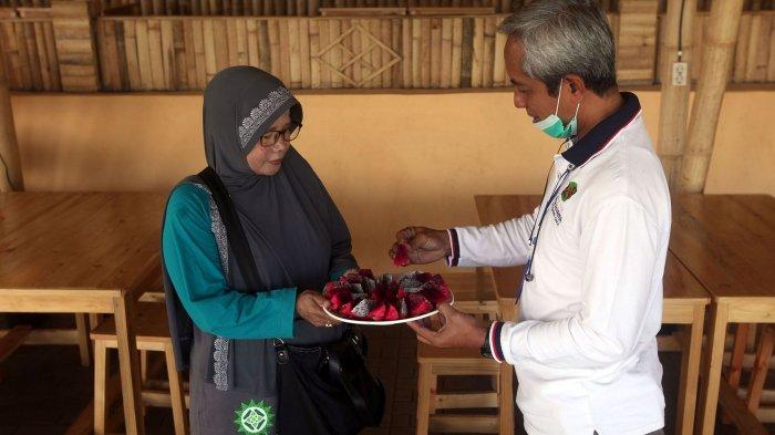 Menikmati kesegaran buah naga di Kebun Buah Naga Poernama, Kampung Jamban Sari, Desa Bayongbong, Kecamatan Bayongbong, Kabupaten Garut