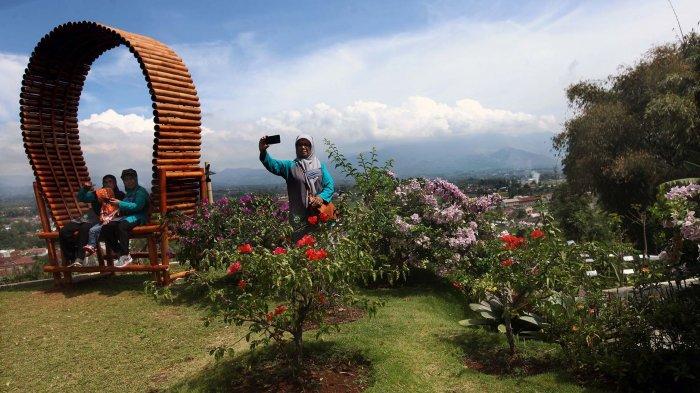 Berfoto di Kebun Buah Naga Poernama, Kampung Jamban Sari, Desa Bayongbong, Kecamatan Bayongbong, Kabupaten Garut