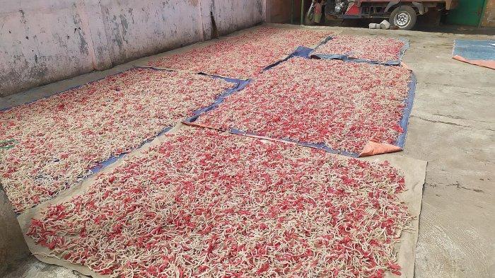 Kerupuk gurilem menjalani proses pengeringan selama 3-4 hari sebelum digoreng di Cililin, Kabupaten Bandung Barat