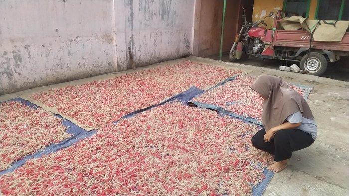 Kerupuk gurilem menjalani proses pengeringan selama 3-4 hari sebelum digoreng di Cililin, Kabupaten Bandung Barat
