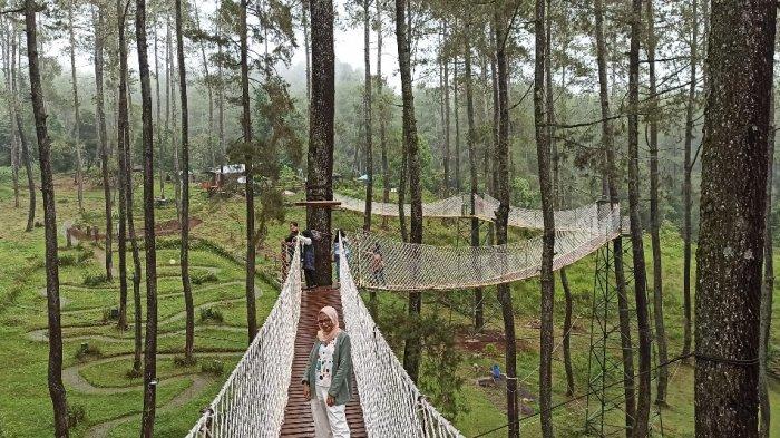 Jembatan gantung di antara pepohonan di Orchid Forest Cikole, Lembang, Kabupaten Bandung Barat.