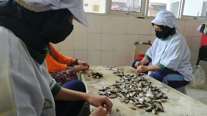 mengolah ikan kecil (baby fish) nila
